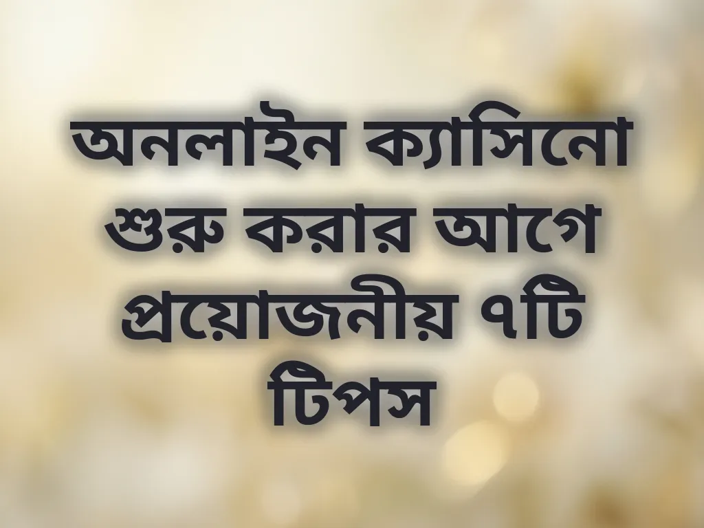 বিগিনার গাইড